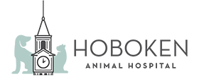 Link to Homepage of Hoboken Animal Hospital